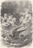 BIRDS. Sea-Flier. Petrel, Storm Bird c1870 old antique vintage print picture