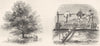 CHINA. White Mulberry tree; Raising Water 1870 old antique print picture