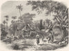 INDONESIA. Village in Java 1870 old antique vintage print picture