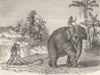 SRI LANKA. Working Elephant in Sri Lanka 1870 old antique print picture