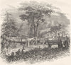 COWLITZ. Indian Sepulchres, Banks of river 1870 old antique print picture
