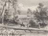 AUSTRALIA. Trunk of an Eucalyptus 1870 old antique vintage print picture