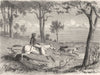 AUSTRALIA. Stock-Keeper collecting his Herds 1870 old antique print picture