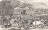 AUSTRALIA. Branding cows 1870 old antique vintage print picture