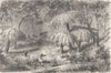AUSTRALIA. Shooting Lyre-Bird-Eucalyptus Ferns 1870 old antique print picture