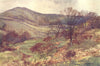 Shanklin Down, Early Spring. Isle of Wight. By Ernest Haslehust 1920 old print