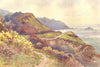 Ventnor from the Steephill Walk. Isle of Wight. By Ernest Haslehust 1920 print