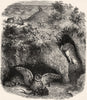 USA. Prairie Dog town c1880 old antique vintage print picture