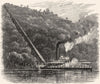 USA. Cotton Shoot c1880 old antique vintage print picture