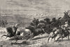 USA. Catching horses, Prairies Lasso c1880 old antique vintage print picture