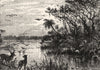 CANADA. Tributaries of St John river, Florida c1880 old antique print picture