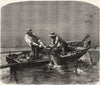 FLORIDA. Hauling Drum Fish(Pogonias Chromis) c1880 old antique print picture