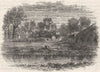 WALES. Flintshire. St Asaph 1898 old antique vintage print picture