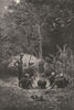 S AFRICAN. Coffee planting. Gang Basuto workers 1880 old antique print picture