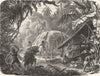 HONDURAS. Indians, Bravo river 1880 old antique vintage print picture