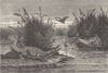 MALAYSIA. Borneo. Upper Sarawak 1880 old antique vintage print picture