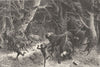 S AFRICA. S African Game. Charge Buffaloes 1880 old antique print picture