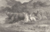 S AFRICA. Trekking hunt. Driving Game 1880 old antique vintage print picture