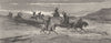 ICELAND. Bringing a corpse of Rejkjavik 1880 old antique vintage print picture