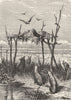 CEMETERIES. Australian Grave 1880 old antique vintage print picture