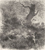 SOUTH AFRICAN. recollections. Bush-Hunting 1880 old antique print picture