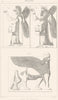 IRAQ. Palais de Nimrud. Nimrod 1875 old antique vintage print picture