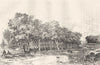 YVELINES. Marly. Avenue de Tilleuls de Louis XIV 1880 old antique print