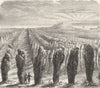 MORBIHAN. Original arrangement of stones at Carnac c1878 old antique print