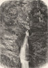 FRANCE. Auvergne and the Cevennes. The Plat a Barbe c1878 old antique print