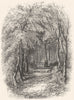 SCOTLAND. The Martyrs Grave c1886 old antique vintage print picture