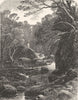 SCOTLAND. Banks of the Devon, near Rumbling Bridge c1886 old antique print