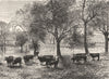 AUSTRALIA. South. Collingrove Station 1886 old antique vintage print picture