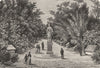 AUSTRALIA. South Australia. The Botanical Gardens, Adelaide 1886 old print