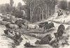 AUSTRALIA. Driving Cattle 1886 old antique vintage print picture