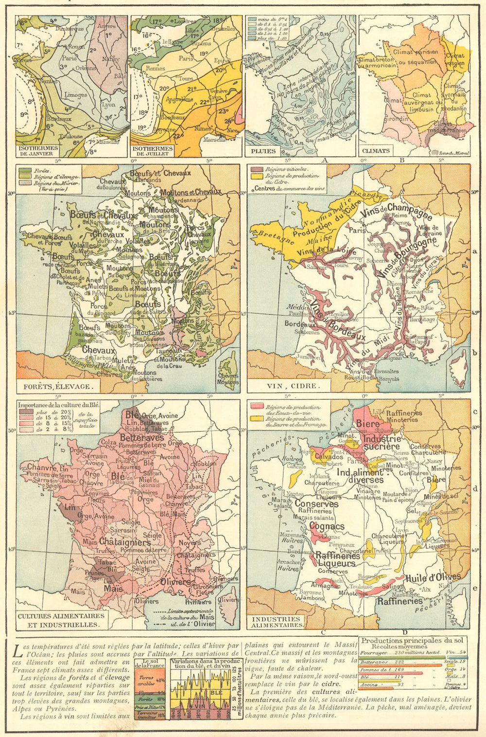 FRANCE. Agriculture. Forests livestock wine cider crops food produce 1923 map