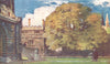 OXFORD. Bishop Heber's Tree 1903 old antique vintage print picture