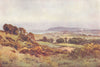 DORSET. Weymouth and Portland 1908 old antique vintage print picture