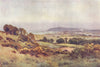 Weymouth and Portland. Dorset. By Ernest Haslehust 1920 old antique print