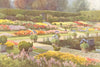 The Sunk Garden, Kensington Palace. London. By Ernest Haslehust 1920 old print
