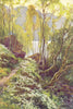 The Old Pass, Trossachs. Scotland. By Ernest Haslehust 1920 antique print