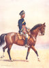 INDIA. Army of East India Co. 12th Cavalry Jemadar Dogra 1911 old print