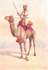 INDIA. Armies of Native States. Bikaner Ganga risala Ratore Rajput 1911 print
