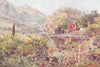 FRANCE. Orange Grove, Menton 1907 old antique vintage print picture