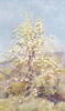FRANCE. Pear-blossom, Maritime Alps 1907 old antique vintage print picture