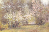 ITALY. Peach, Plum, and Pear-blossom 1907 old antique vintage print picture