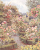 ITALY. Everywhere are roses, roses 1907 old antique vintage print picture