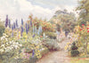 ITALY. Larkspurs 1907 old antique vintage print picture