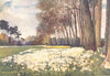NORFOLK. The Park, Sandringham 1916 old antique vintage print picture