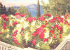 GREECE. The Rose Pergola, The Achilleion, Corfu 1916 old antique print picture