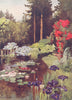 GERMANY. The Pond, Wolfsgarten 1916 old antique vintage print picture